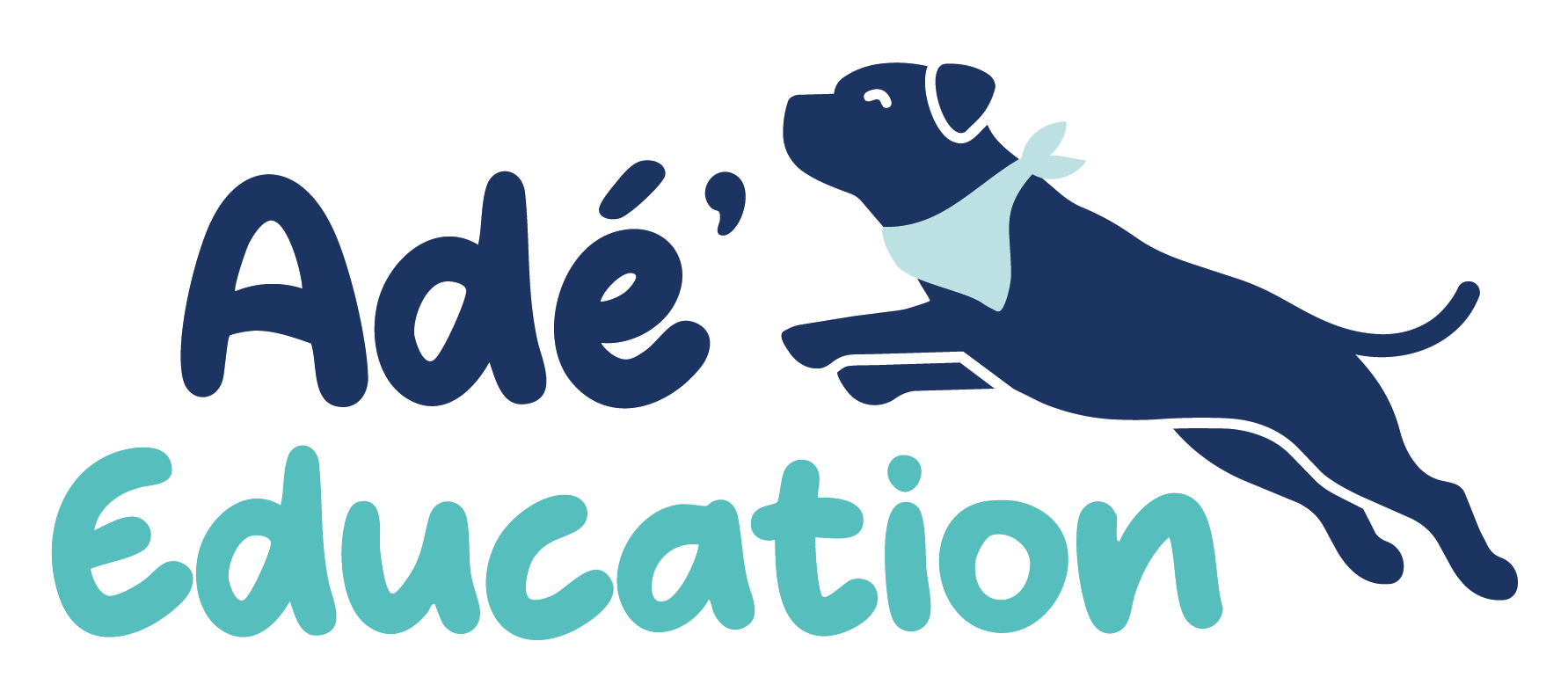Adé Education – Éducation canine