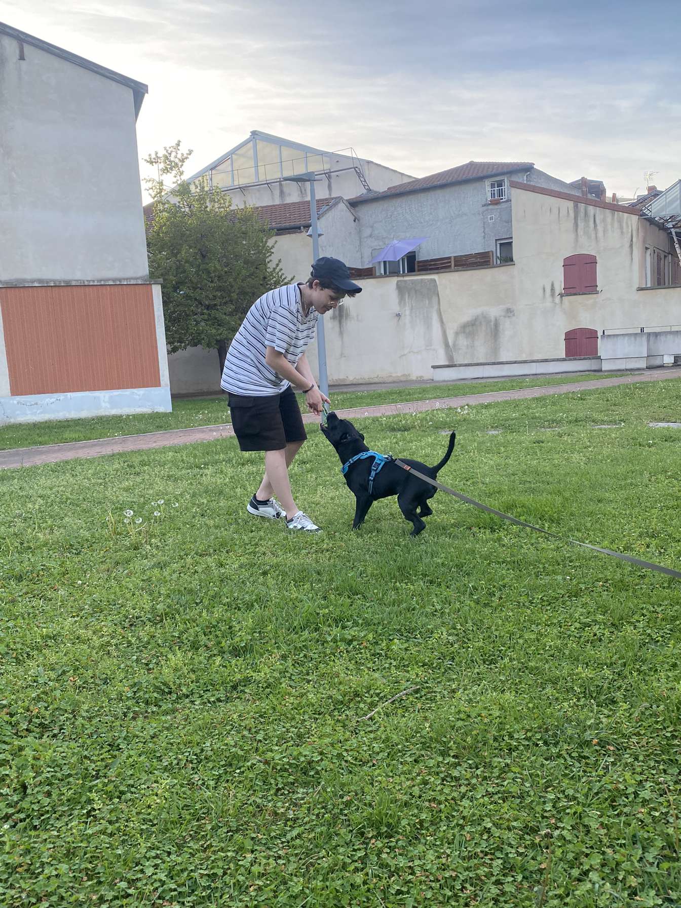 Cours individuel maître et chien