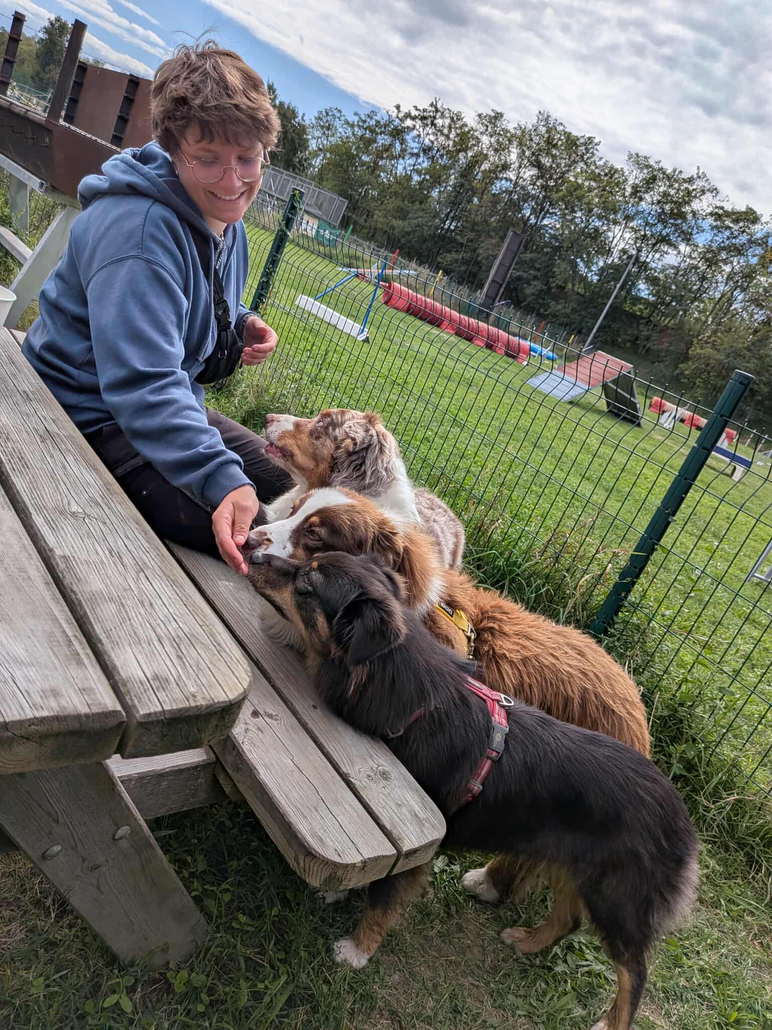 Adély en séance sur le terrain avec des chiens
